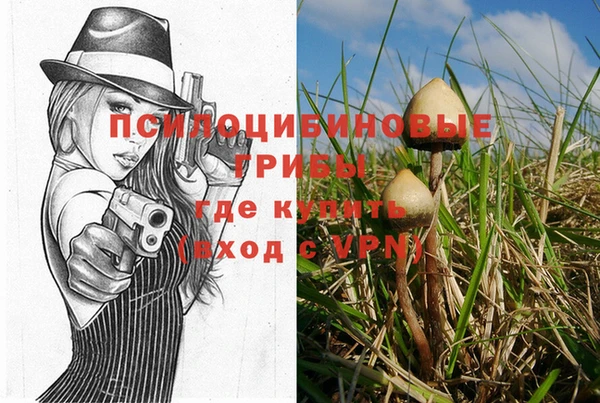гидра Алзамай