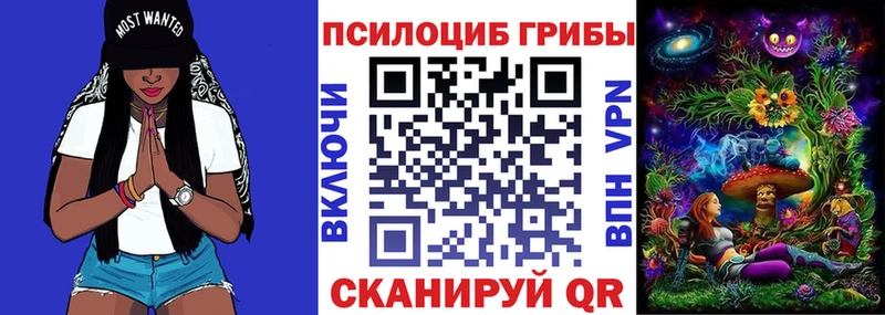 Псилоцибиновые грибы MAGIC MUSHROOMS  где найти   Рошаль 